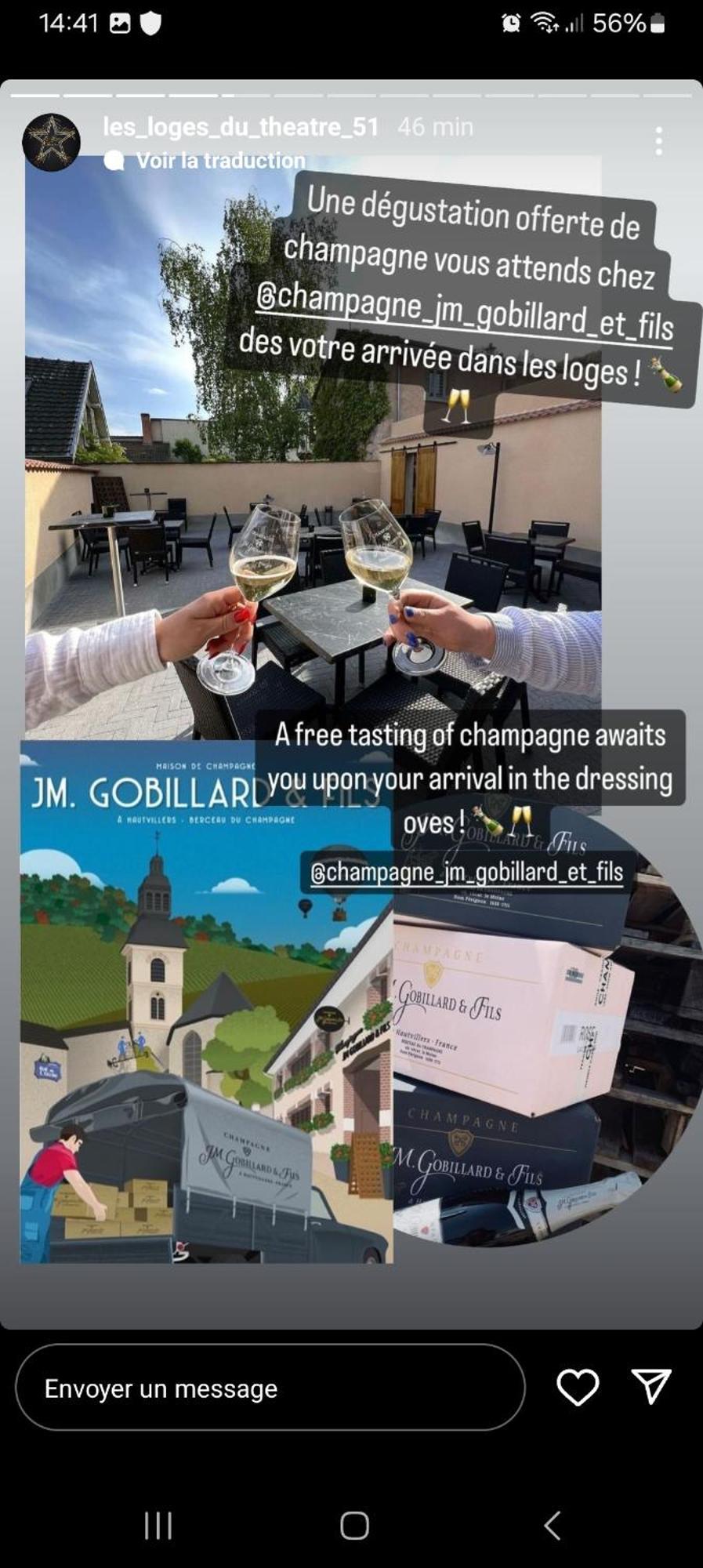 Les Loges Du Theatre Degustation Champagne Offerte Jacuzzi Sauna Jeux Velos Maison Prive 150M2 Historique 14Pers Max Emplacement Exceptionnel Et Chic, 200M De L'Avenue De Champagne, Gare, Musee, Jardins, Restaurations, Toutes Commodites Épernay Exteriér fotografie