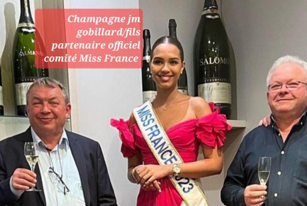 Les Loges Du Theatre Degustation Champagne Offerte Jacuzzi Sauna Jeux Velos Maison Prive 150M2 Historique 14Pers Max Emplacement Exceptionnel Et Chic, 200M De L'Avenue De Champagne, Gare, Musee, Jardins, Restaurations, Toutes Commodites Épernay Exteriér fotografie
