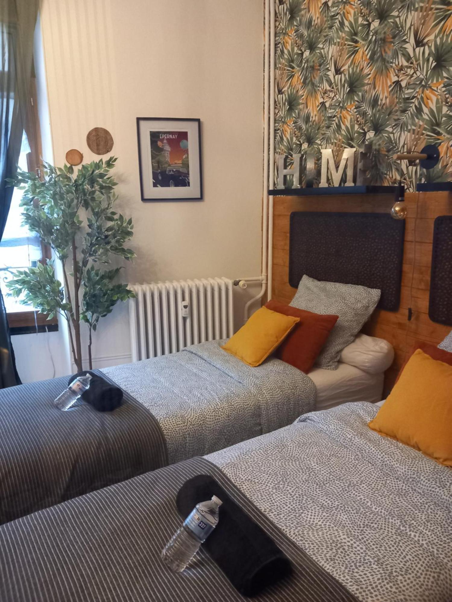Les Loges Du Theatre Degustation Champagne Offerte Jacuzzi Sauna Jeux Velos Maison Prive 150M2 Historique 14Pers Max Emplacement Exceptionnel Et Chic, 200M De L'Avenue De Champagne, Gare, Musee, Jardins, Restaurations, Toutes Commodites Épernay Exteriér fotografie