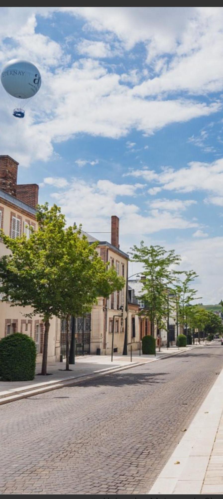 Les Loges Du Theatre Degustation Champagne Offerte Jacuzzi Sauna Jeux Velos Maison Prive 150M2 Historique 14Pers Max Emplacement Exceptionnel Et Chic, 200M De L'Avenue De Champagne, Gare, Musee, Jardins, Restaurations, Toutes Commodites Épernay Exteriér fotografie